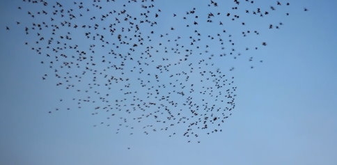 Gökyüzünde Renkli Görüntüler