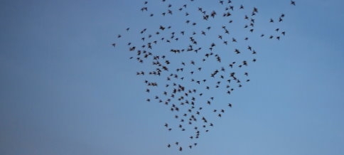 Gökyüzünde Renkli Görüntüler