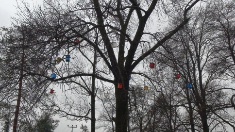 Yabani Kuşların Yuvasını Akyazı Orman İşletmesi Yaptı