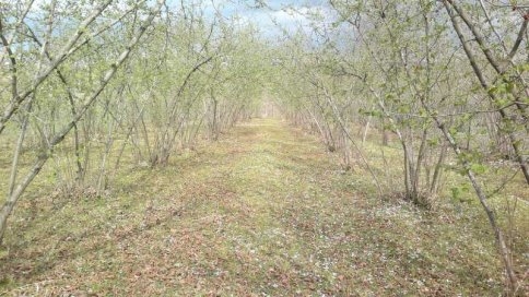 Yatırıma Uygun Acil Satılık Arazi