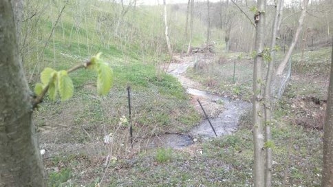 Yatırıma Uygun Acil Satılık Arazi