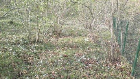 Yatırıma Uygun Acil Satılık Arazi