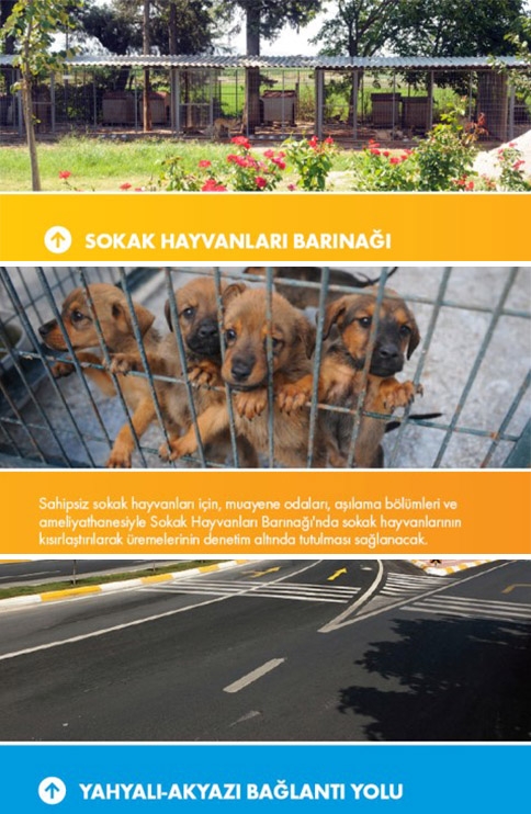 Ak Parti Projelerini Açıkladı