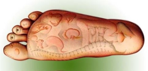 Ayakla ilgili belki de ilk kez duyacağınız bilgiler