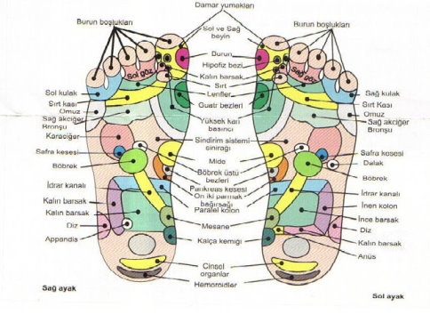 Ayakla ilgili belki de ilk kez duyacağınız bilgiler