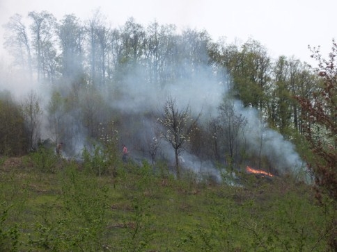Bahçe Temziliği için Yakılan Ateş Ormanlık Alana Sıçradı