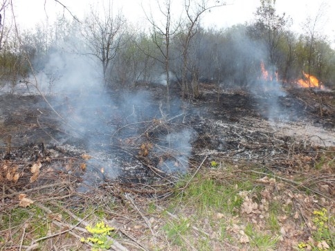 Bahçe Temziliği için Yakılan Ateş Ormanlık Alana Sıçradı