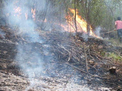 Bahçe Temziliği için Yakılan Ateş Ormanlık Alana Sıçradı