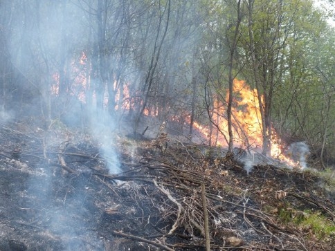 Bahçe Temziliği için Yakılan Ateş Ormanlık Alana Sıçradı