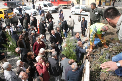 Ormancılık Haftası Etkinlikleri Akyazı’da Kutlanmaya Başlandı