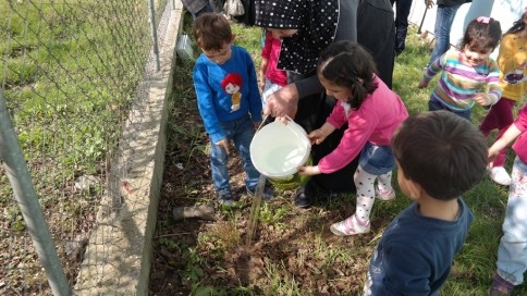 Akyazı Özel Gülistan Çocuk Yuvası Dünya Orman HaftasınıKutladı
