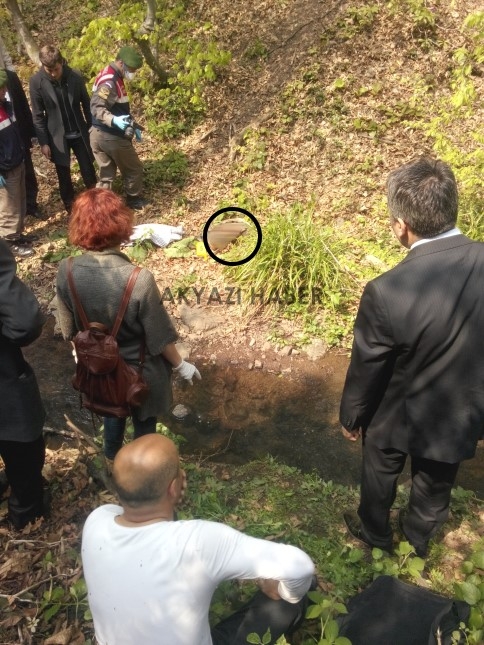 Çalışmak İçin Gittiği Fındık Bahçesinde Hayatını Kaybetti