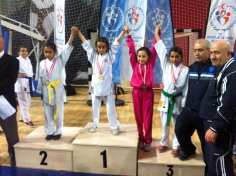 Karatede Başarılar Devam Ediyor