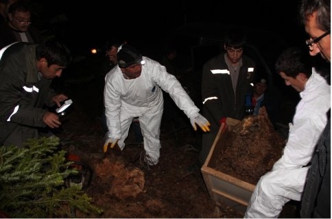 Orman Zararlılarına Gece Operasyonu