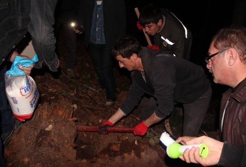 Orman Zararlılarına Gece Operasyonu