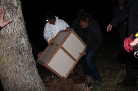 Orman Zararlılarına Gece Operasyonu