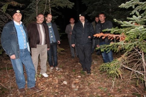 Orman Zararlılarına Gece Operasyonu