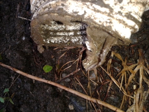 Zirai İlaç Ambalajları Tehlike Saçıyor 