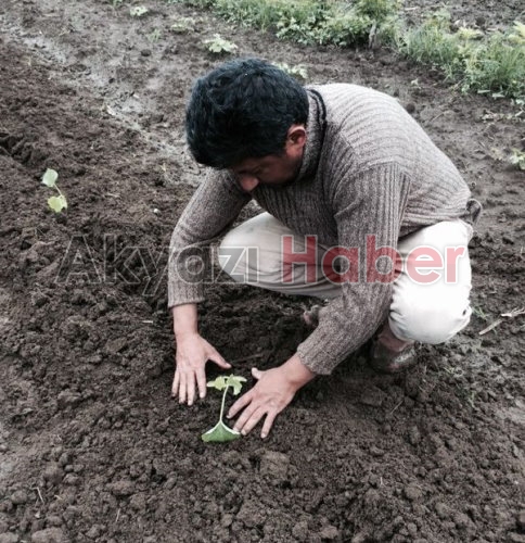 Bahçe Peyzaj Teknikerinden Özel Tekniklerle Fideler Dikildi.