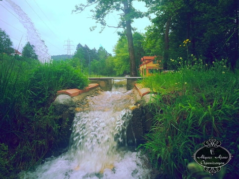 Rüya Gibi Davetler İçin Kırmızı Değirmen 