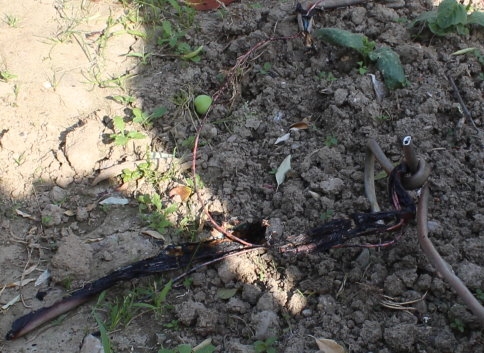 Hastane Mahesi'nde Yangın