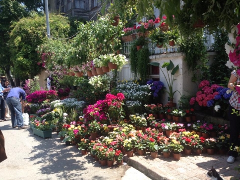 Öğretmenler Adaları Gezdiler 