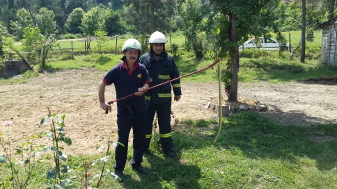 Eve Giren Yılan Korkuttu.