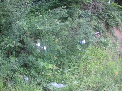 Zarardan Başka ne işe yararsınız !