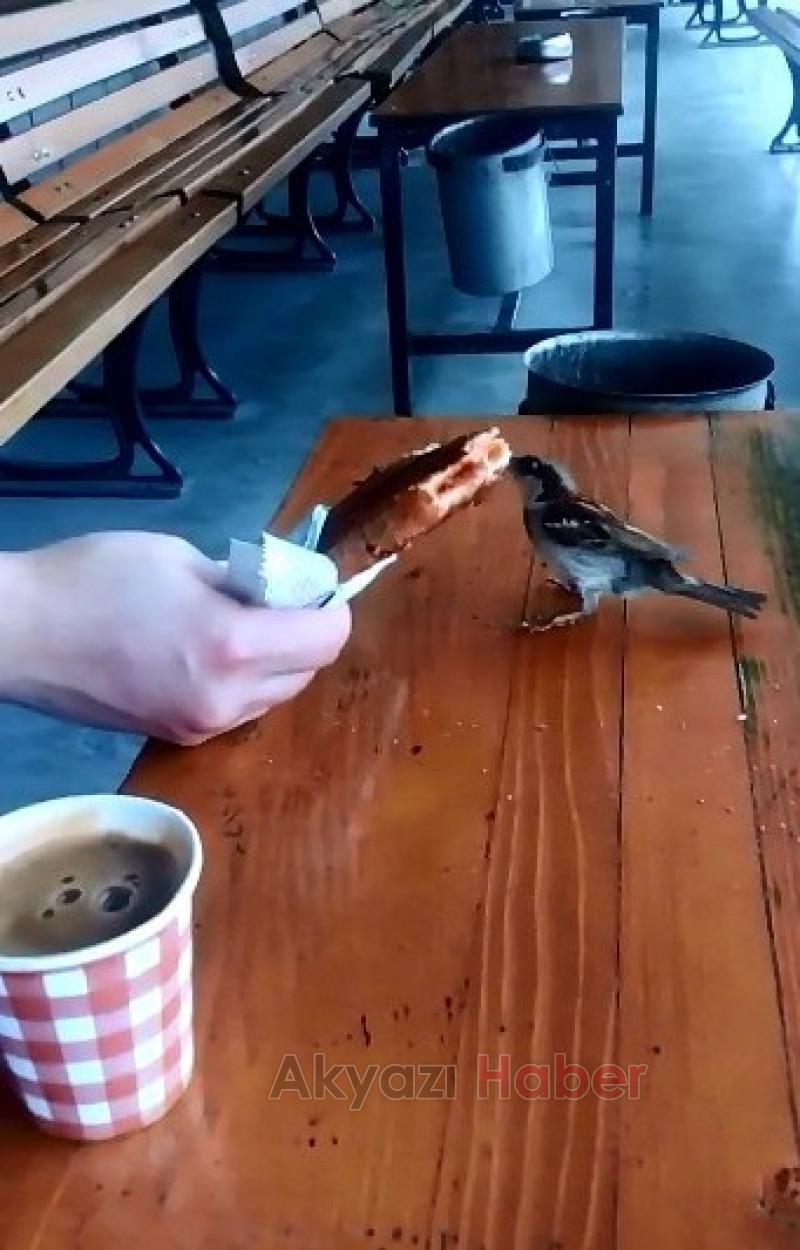 Sabah Kahvaltısında Sevimli Davetsiz Misafir