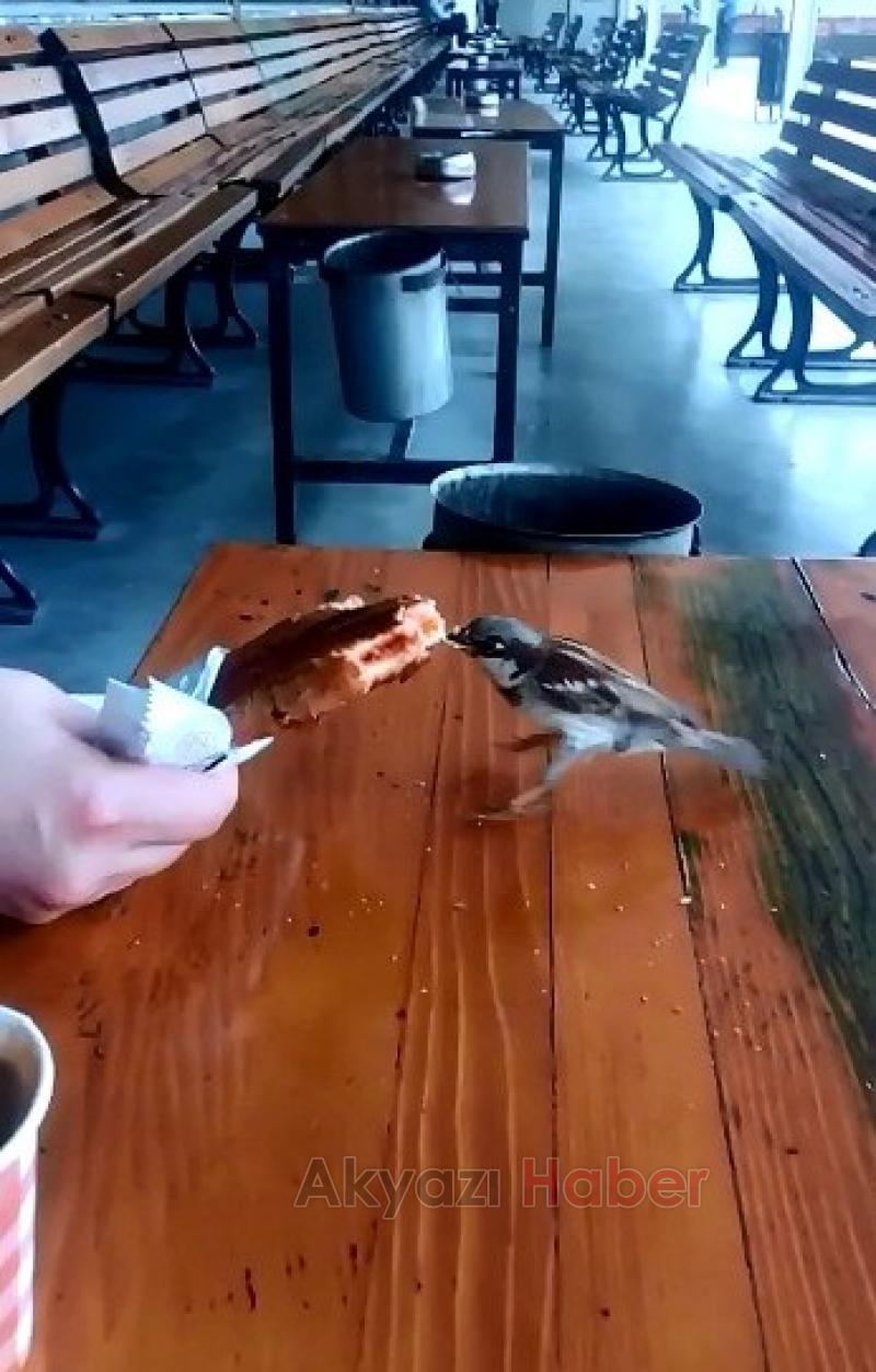 Sabah Kahvaltısında Sevimli Davetsiz Misafir