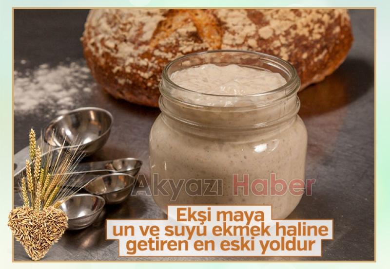 SAĞLIGINIZ İÇİN EKŞİ MAYA EKMEK YİYİN
