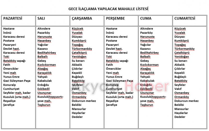 SAĞLIK İŞLERİ EKİPLERİ GECE İLAÇLAMA MESAİSİNE BAŞLADI