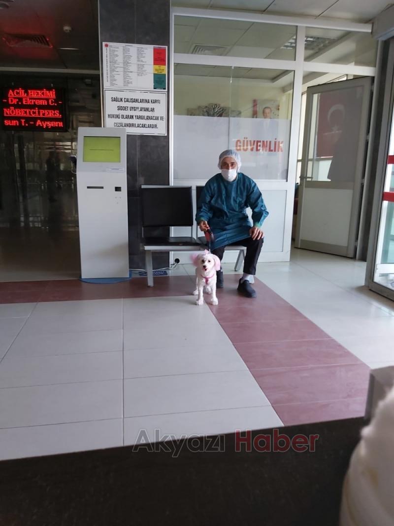 Sahipleri kazada yaralandı köpeğe hastane güvenliği sahip çıktı