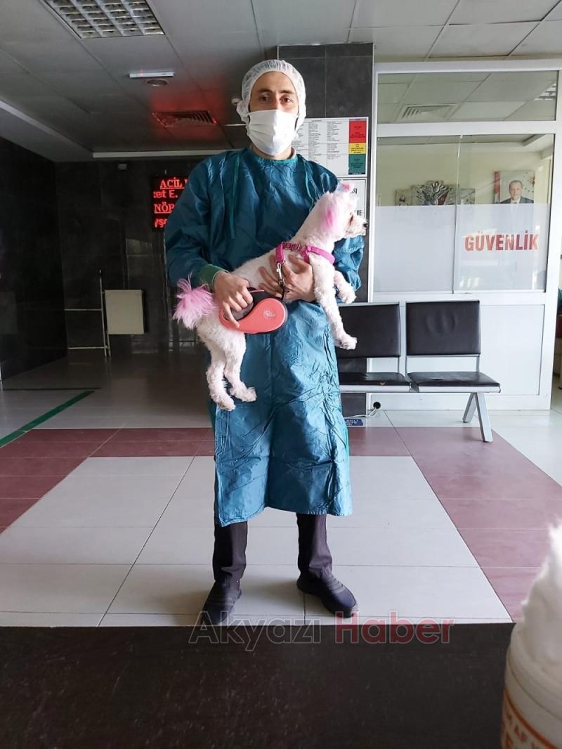 Sahipleri kazada yaralandı köpeğe hastane güvenliği sahip çıktı