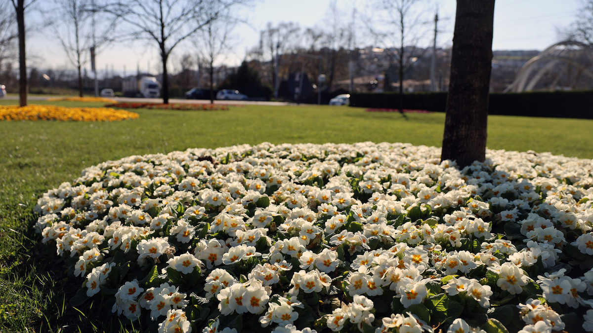 Sakarya bayrama hazırlandı
