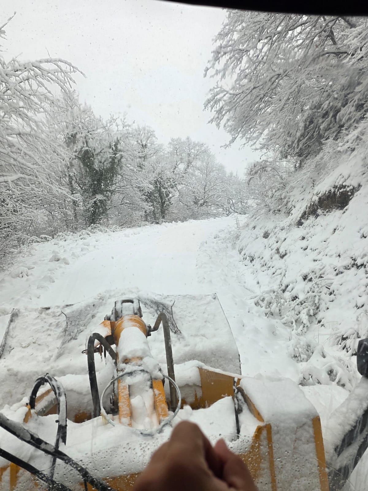 Sakarya Büyükşehir ekipleri 36 farklı grup yolunda karla mücadele ediyor