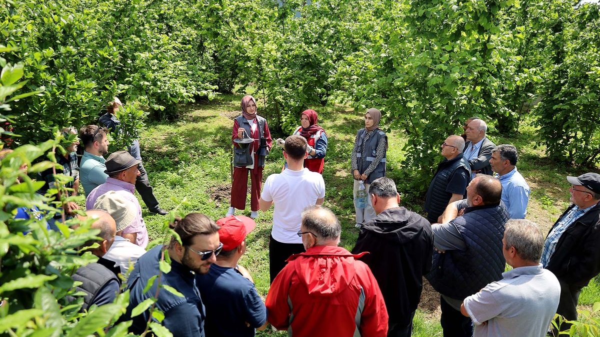Sakarya Büyükşehirden çiftçiye büyük hizmet