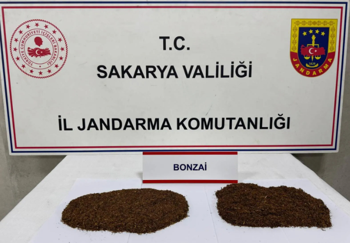 Sakarya'da 2 ilçede uyuşturucu operasyonu