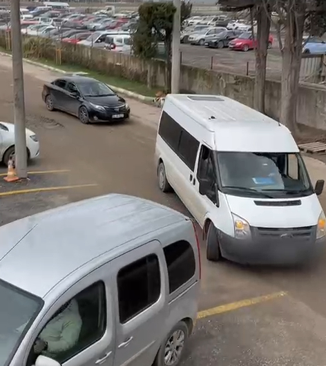 Sakarya'da 20 kaçak göçmen yakalandı