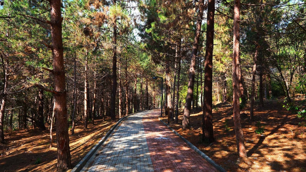 Sakarya'da 23 Nisan Halk Koşusu düzenlenecek