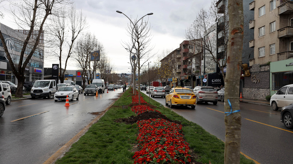 Sakarya'da 3 ayda 2 bin 500 ağaç toprakla buluştu