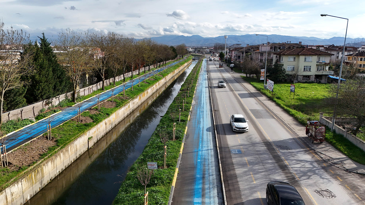 Sakarya'da 3 ayda 2 bin 500 ağaç toprakla buluştu