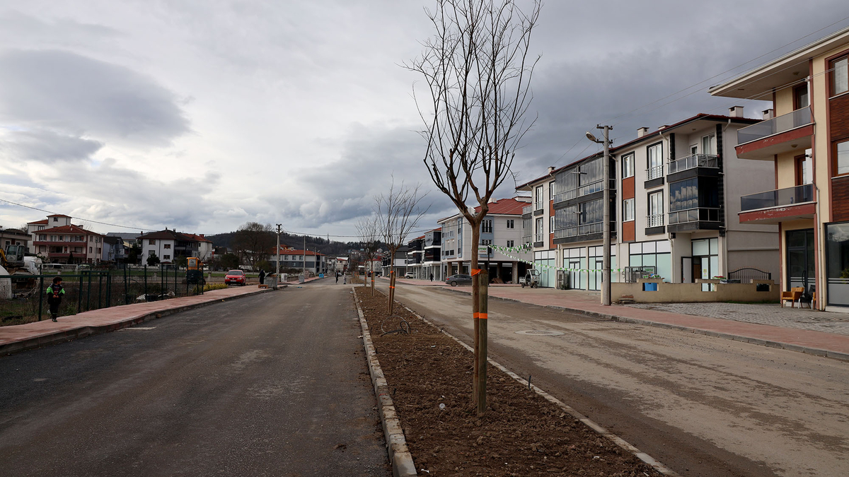 Sakarya'da 3 ayda 2 bin 500 ağaç toprakla buluştu