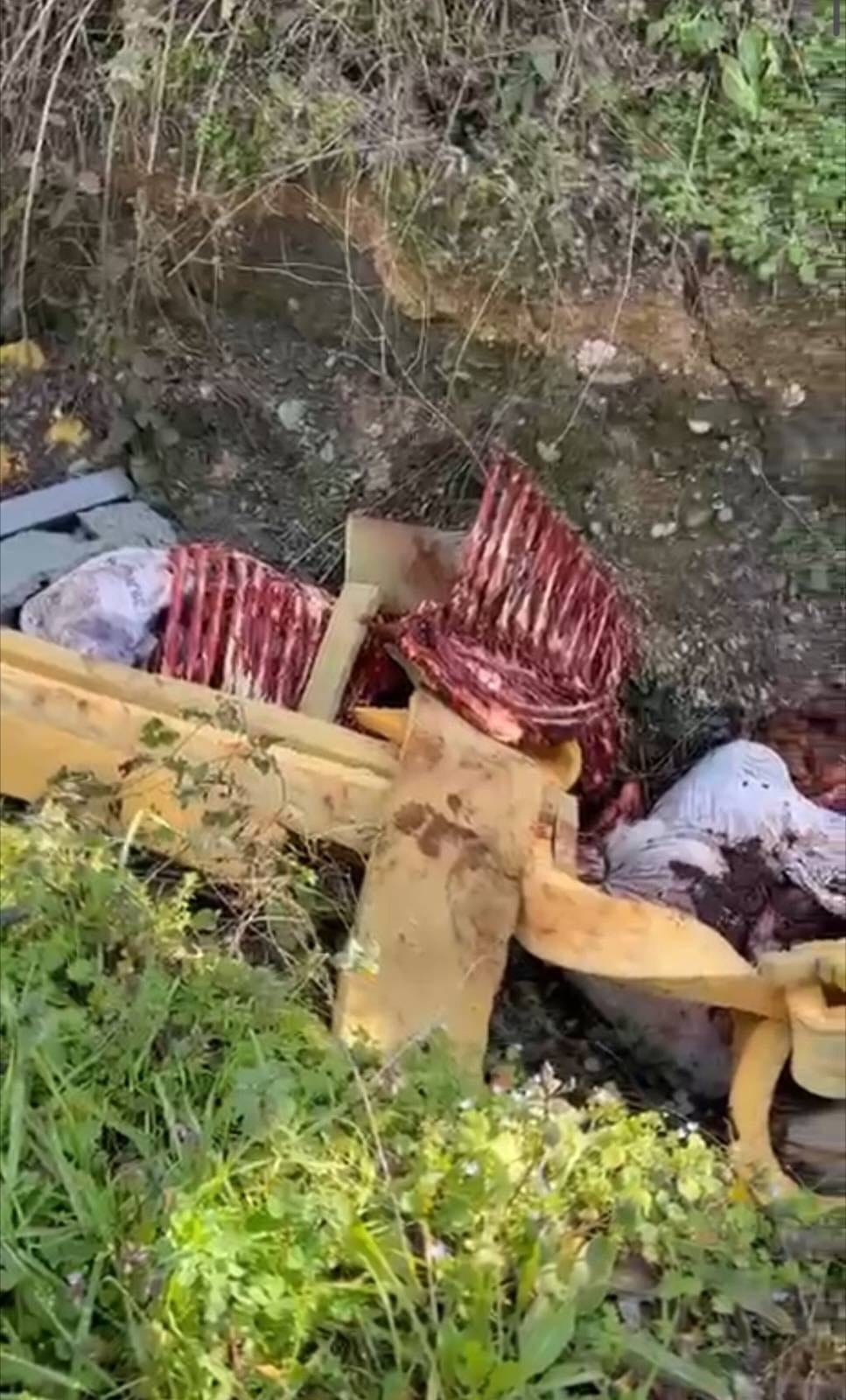 Sakarya'da at kesen 3 kişi jandarma tarafından yakalandı