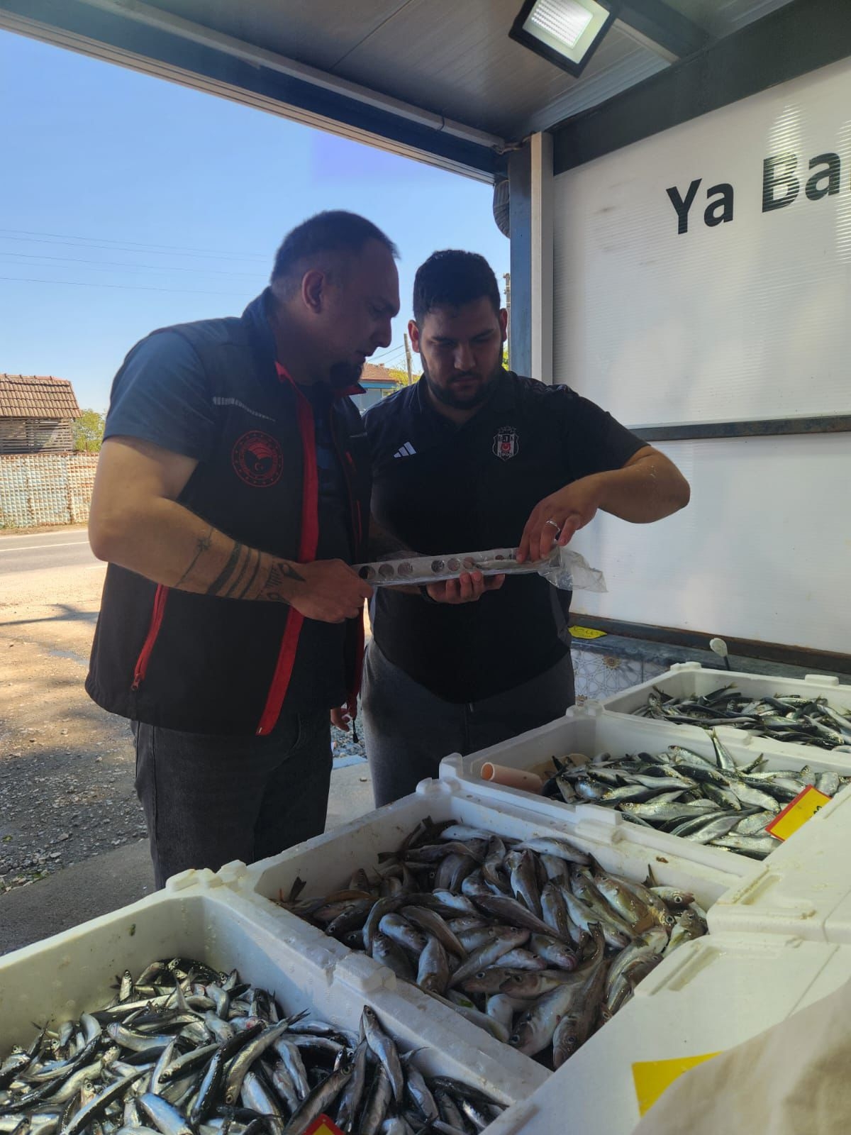 Sakarya'da balık boyu denetimi