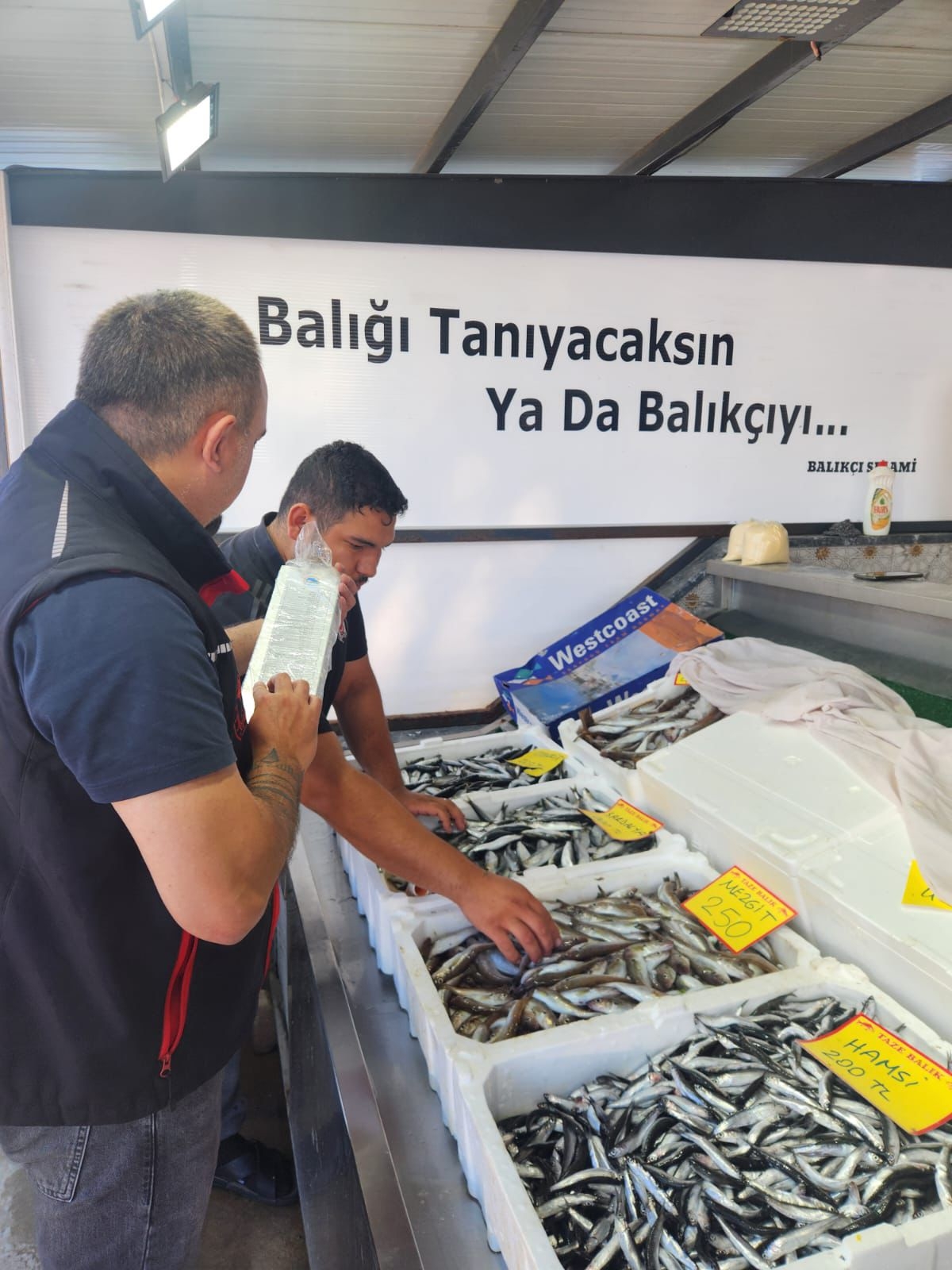Sakarya'da balık boyu denetimi
