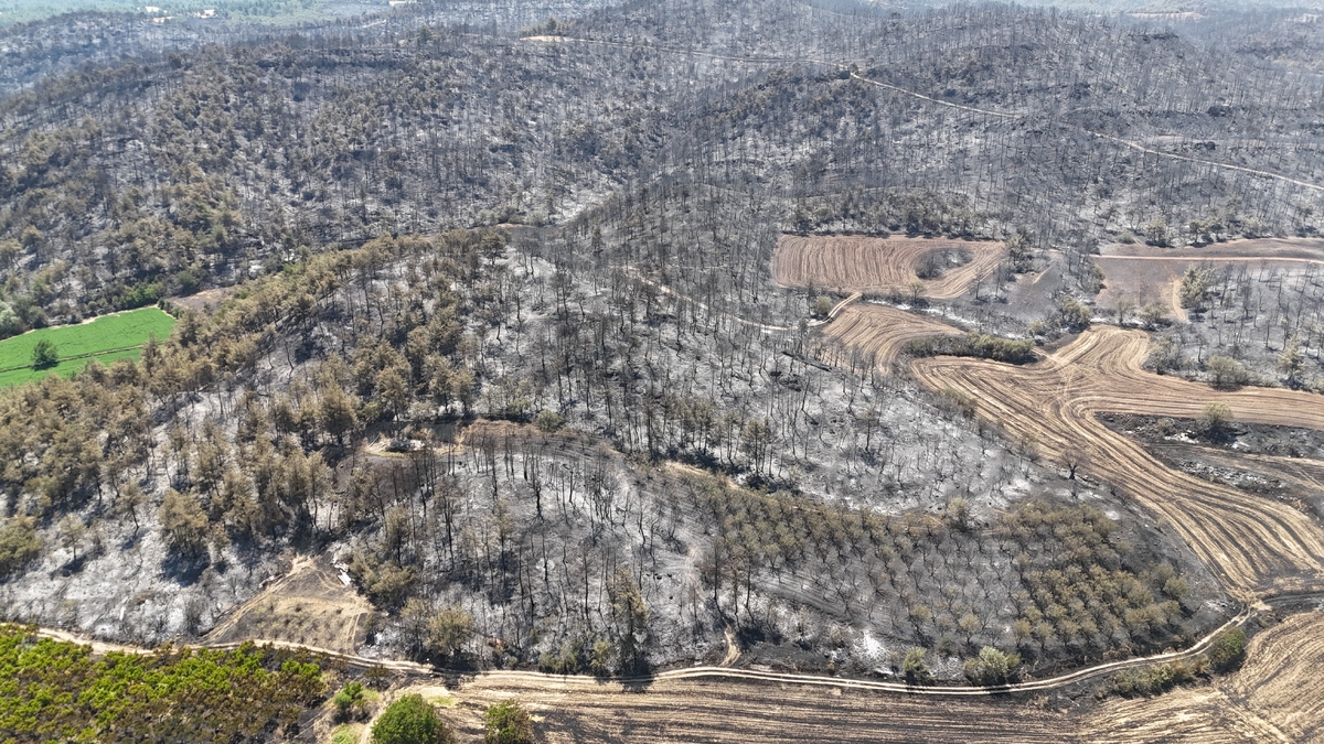 Sakarya'da başlayıp Bilecik'e sıçrayan yangın 5. günde kontrol altına alındı