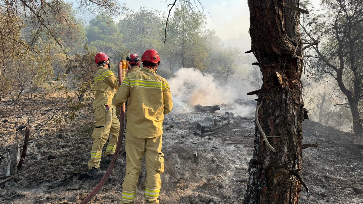 Sakarya'da başlayıp Bilecik'e sıçrayan yangın felaketinde son durum