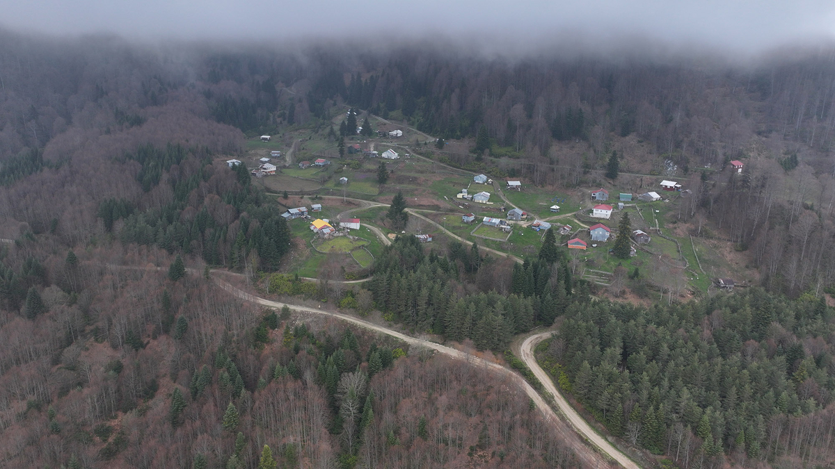 Sakarya'da doğa yürüyüşleri devam ediyor; İşte bir sonraki durak