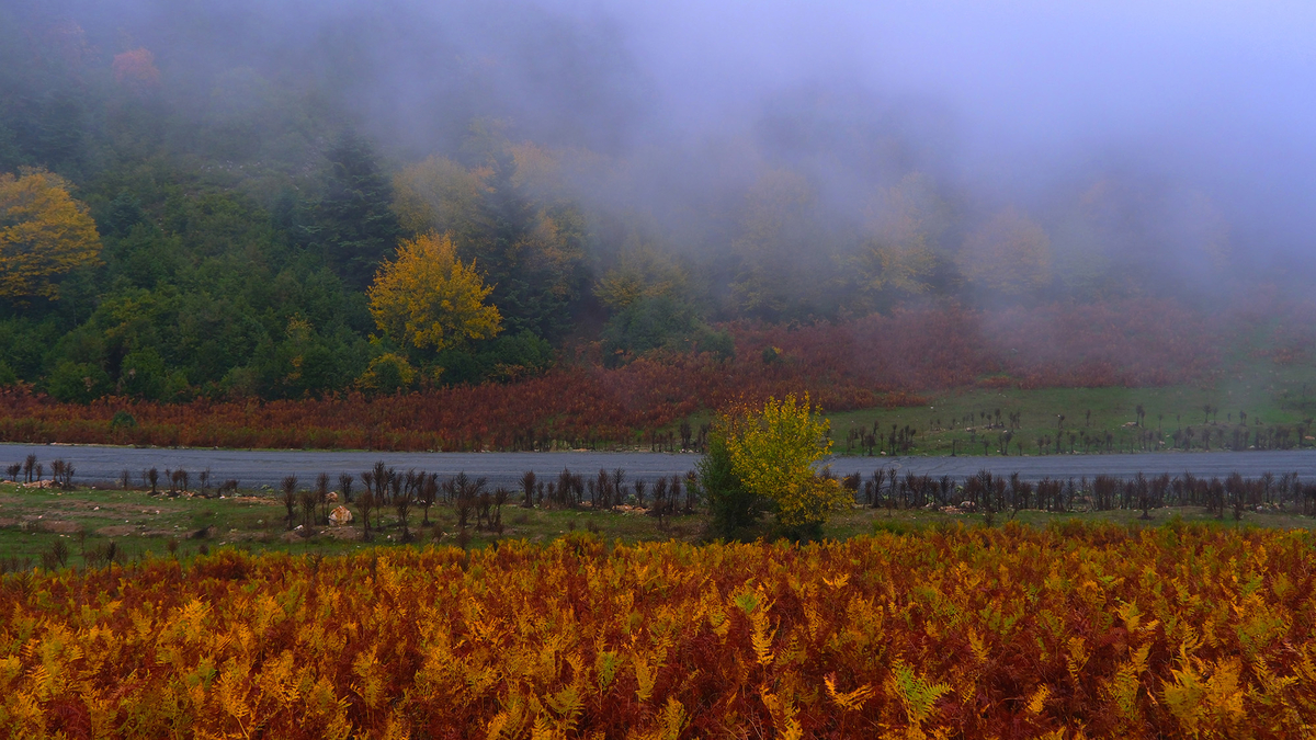 Sakarya'da doğa yürüyüşleri tamamlandı